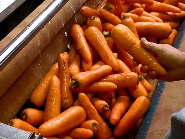 Машина для чистки овощей в Заполярном