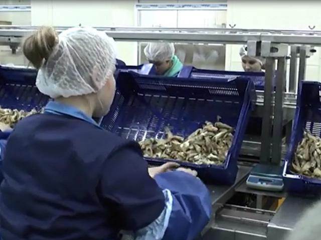 Фасовочный конвейер  в Заполярном