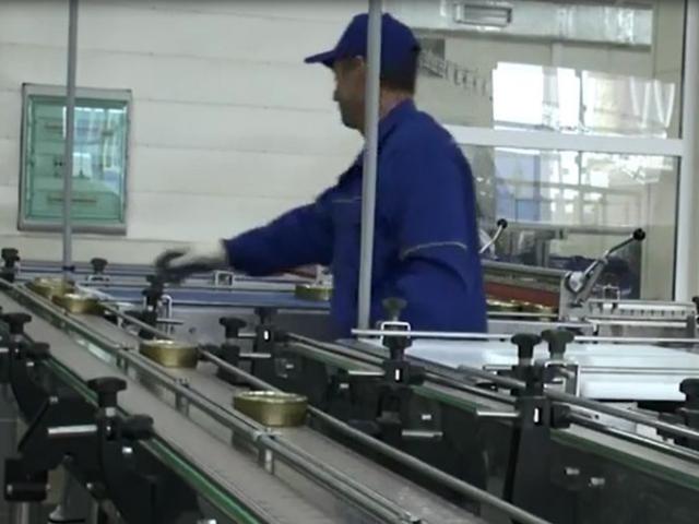 Транспортер пластинчатый (Универсальный) в Заполярном